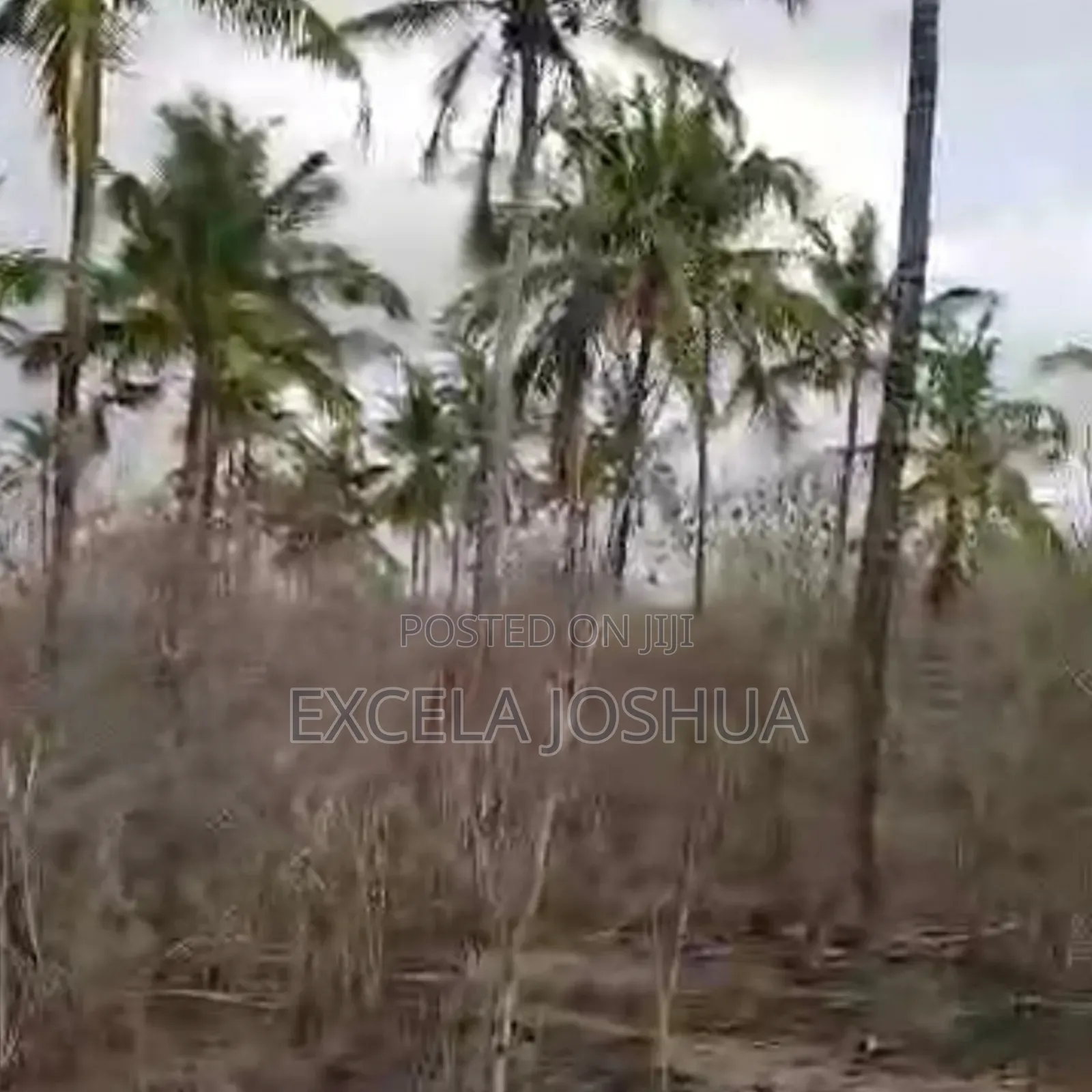 A 60 Acres Farm Located at Mbwewe Is Available for Sale