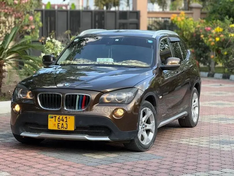 BMW X1 2017 Brown