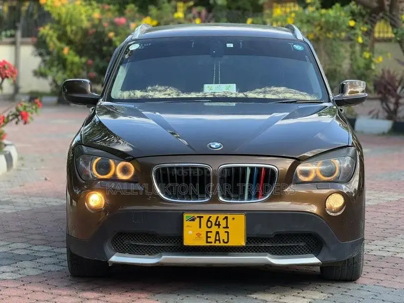 BMW X1 2017 Brown