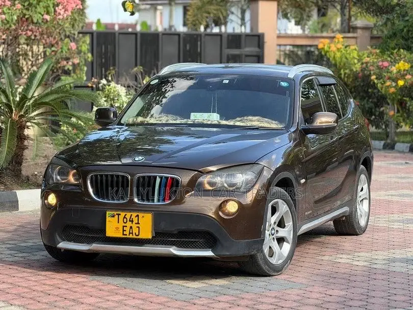 BMW X1 2017 Brown
