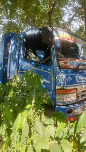 Fuso Tipa Mayai Engine 17