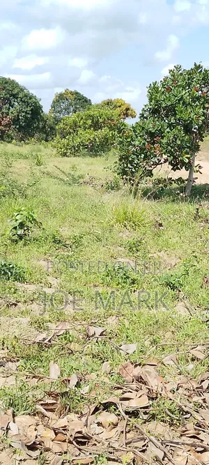 Industrial Plot for Sale
