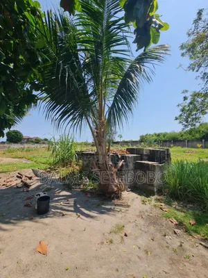 Plot Sale at Mbezi Beach