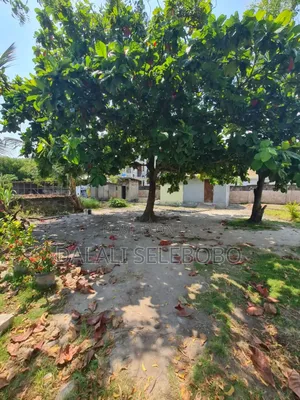 Plot Sale at Mbezi Beach