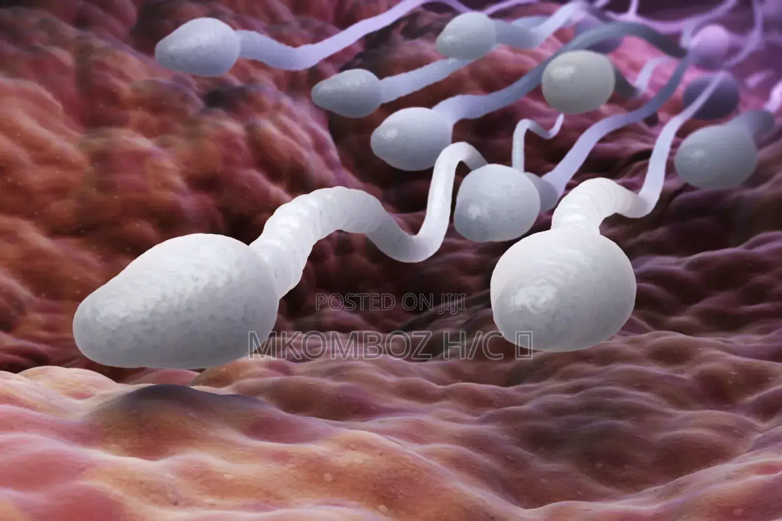 Ongeza Wingi Ujazo Na Speed Ya Sperms Zako (Testosterone )