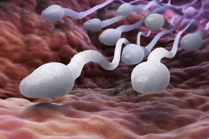 Ongeza Wingi Ujazo Na Speed Ya Sperms Zako (Testosterone )