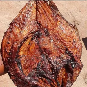 Vibambala Freh Sana Wakubwaa
