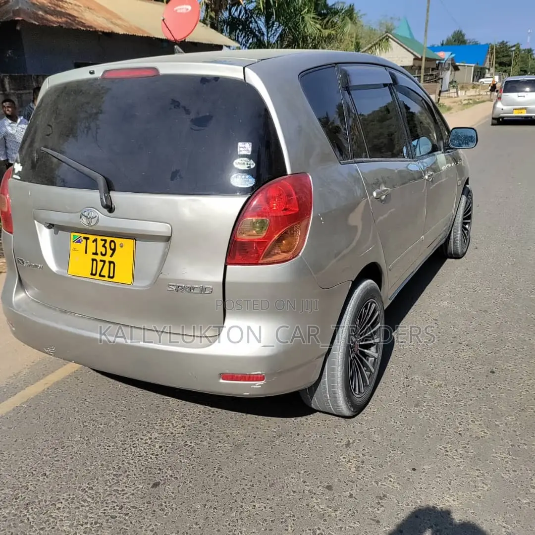 Toyota Corolla Spacio 2002 Silver