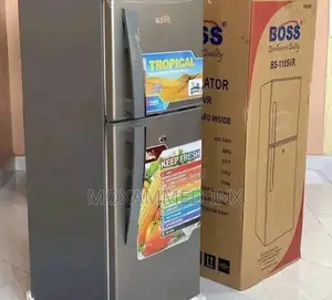 Boss Fridge Bs 110 SVR