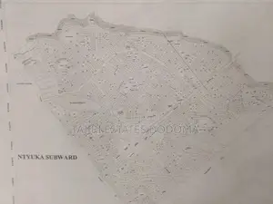 Maeneo Yanauzwa Nghong'ona, Ntyuka, Iyumbu Dodoma Hapa
