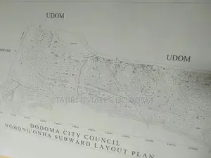 Maeneo Yanauzwa Nghong'ona, Ntyuka, Iyumbu Dodoma Hapa