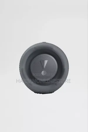 JBL Charge 5 Portable Bluetooth Speaker - Gray