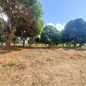 Kiwanja Kizuri Sana Cha Tambalale Kinauzwa Madale Mbopo