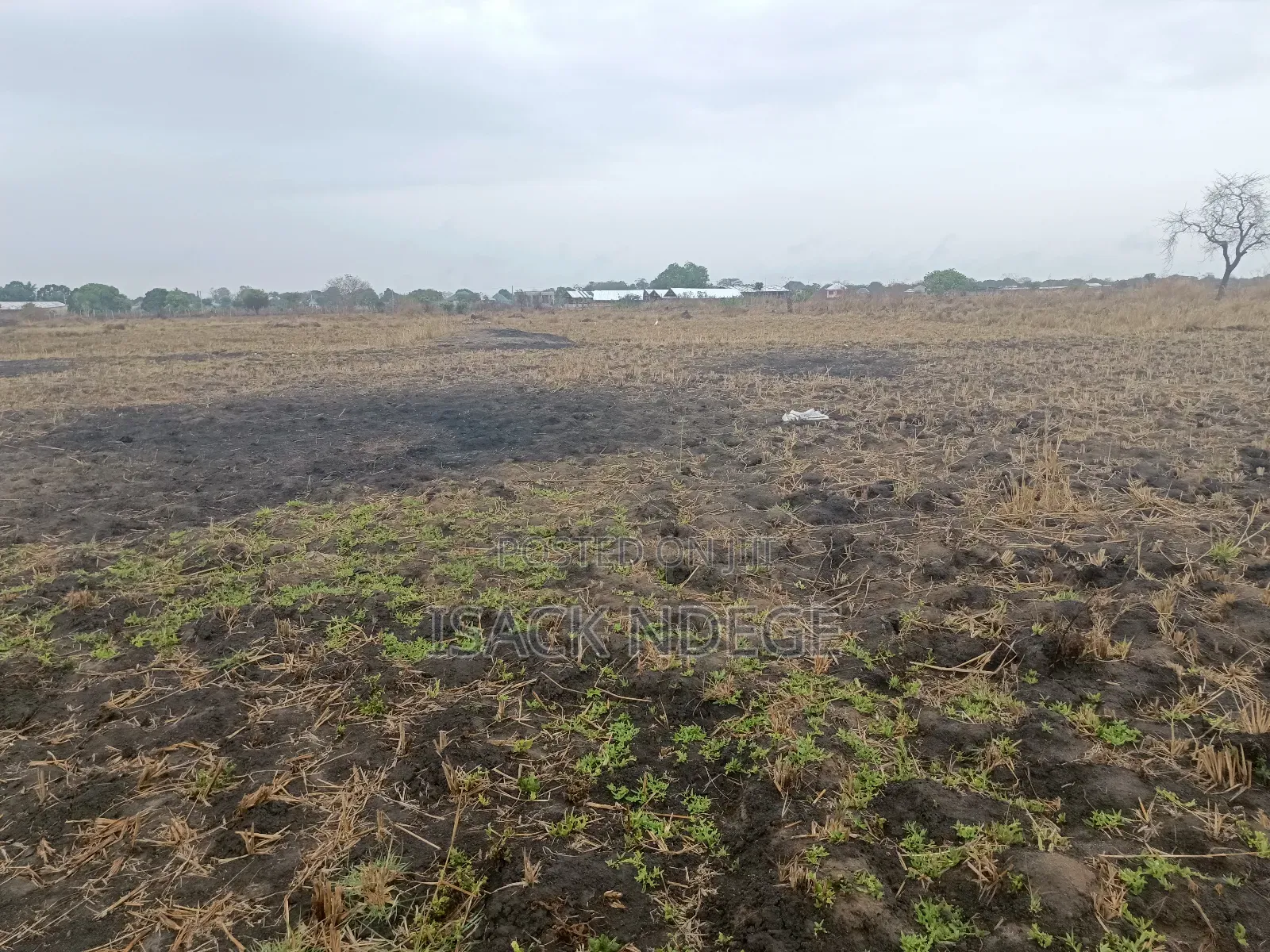 Shamba Linauzwa Bagamoyo Makurunge