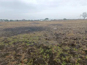 Shamba Linauzwa Bagamoyo Makurunge