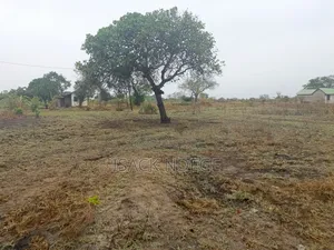 Shamba Linauzwa Bagamoyo Makurunge