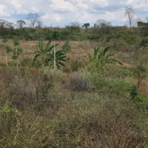 Shamba Eka 50 Linauzwa Mbwewe Halimashauri Ya Bagamoyo