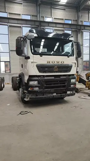 Ready for Order Brand New HOWO TX Dump Truck