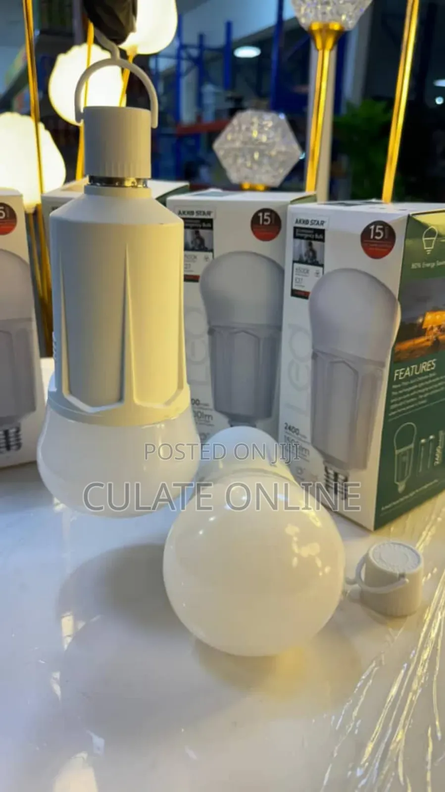 Rechargeable Bulb