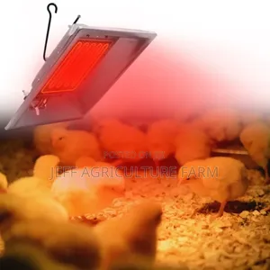 Gas Heater for Chicken