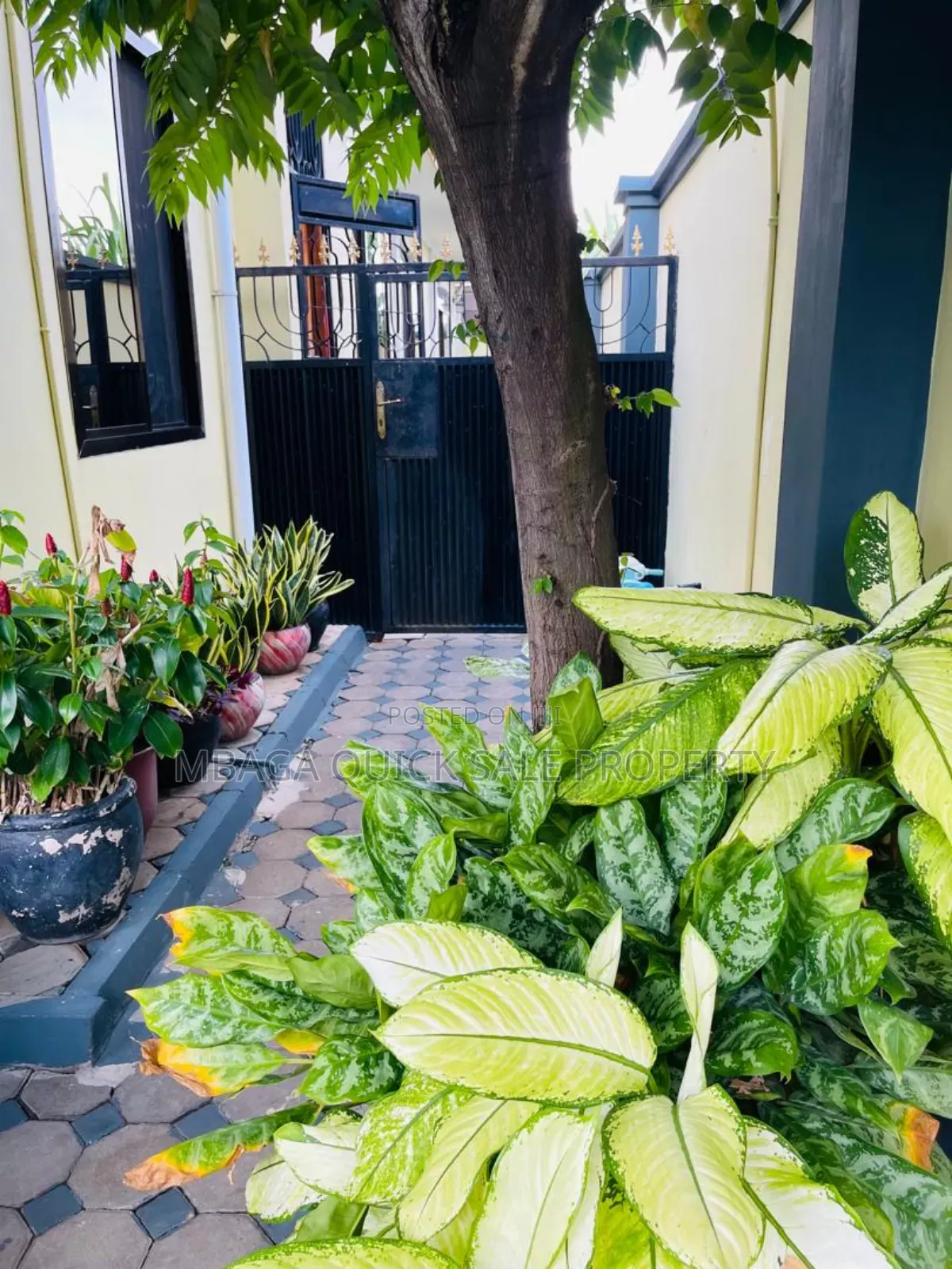 3bdrm Bungalow in Mikocheni B for rent