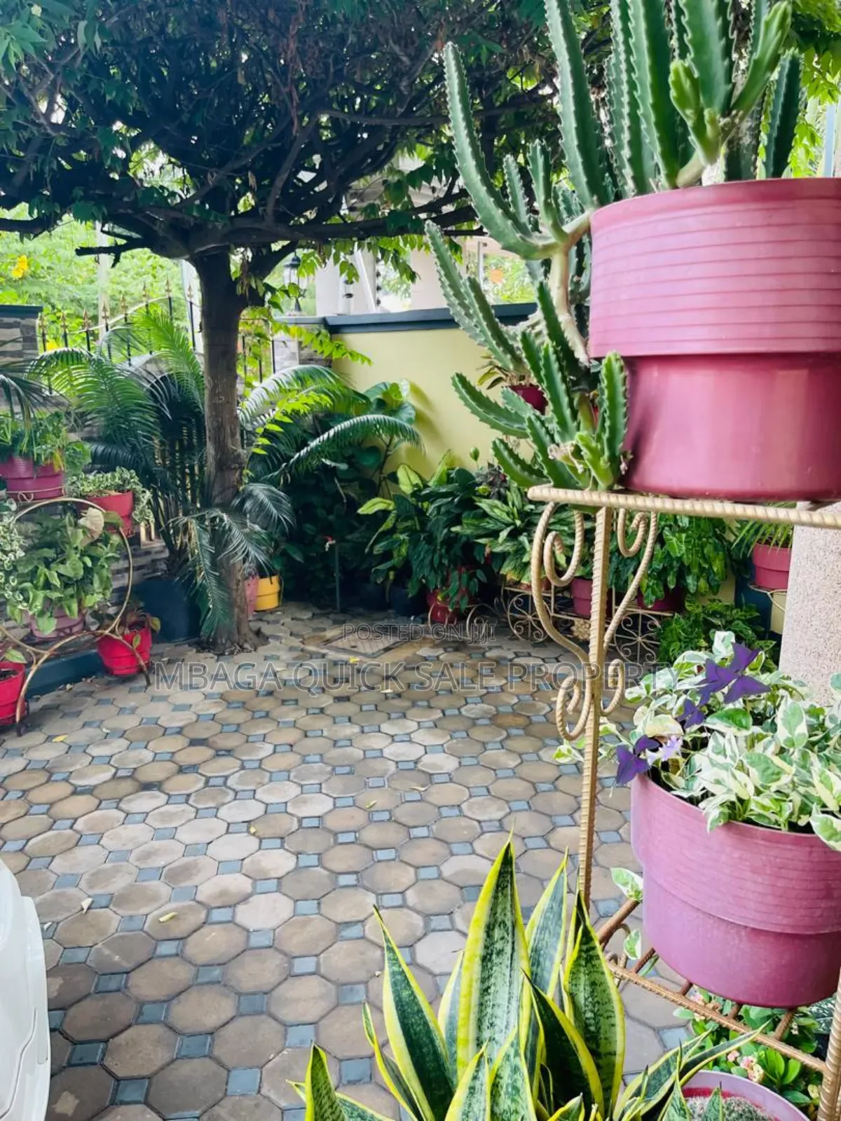 3bdrm Bungalow in Mikocheni B for rent