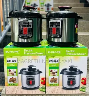 Electric Pressure Cooker EUROPE 6L ( Silver Colour)