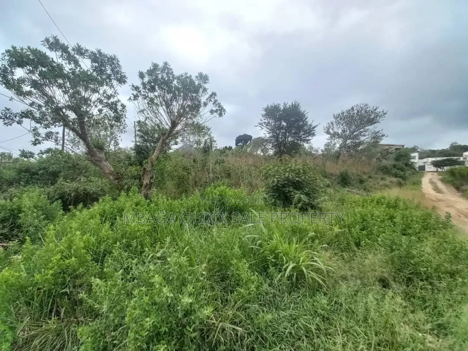 Big Plot Area With 1 Acres for Sale at Mbezi Mwisho Makabe