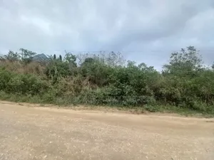 Big Plot Area With 1 Acres for Sale at Mbezi Mwisho Makabe