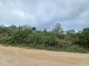 Big Plot Area With 1 Acres for Sale at Mbezi Mwisho Makabe