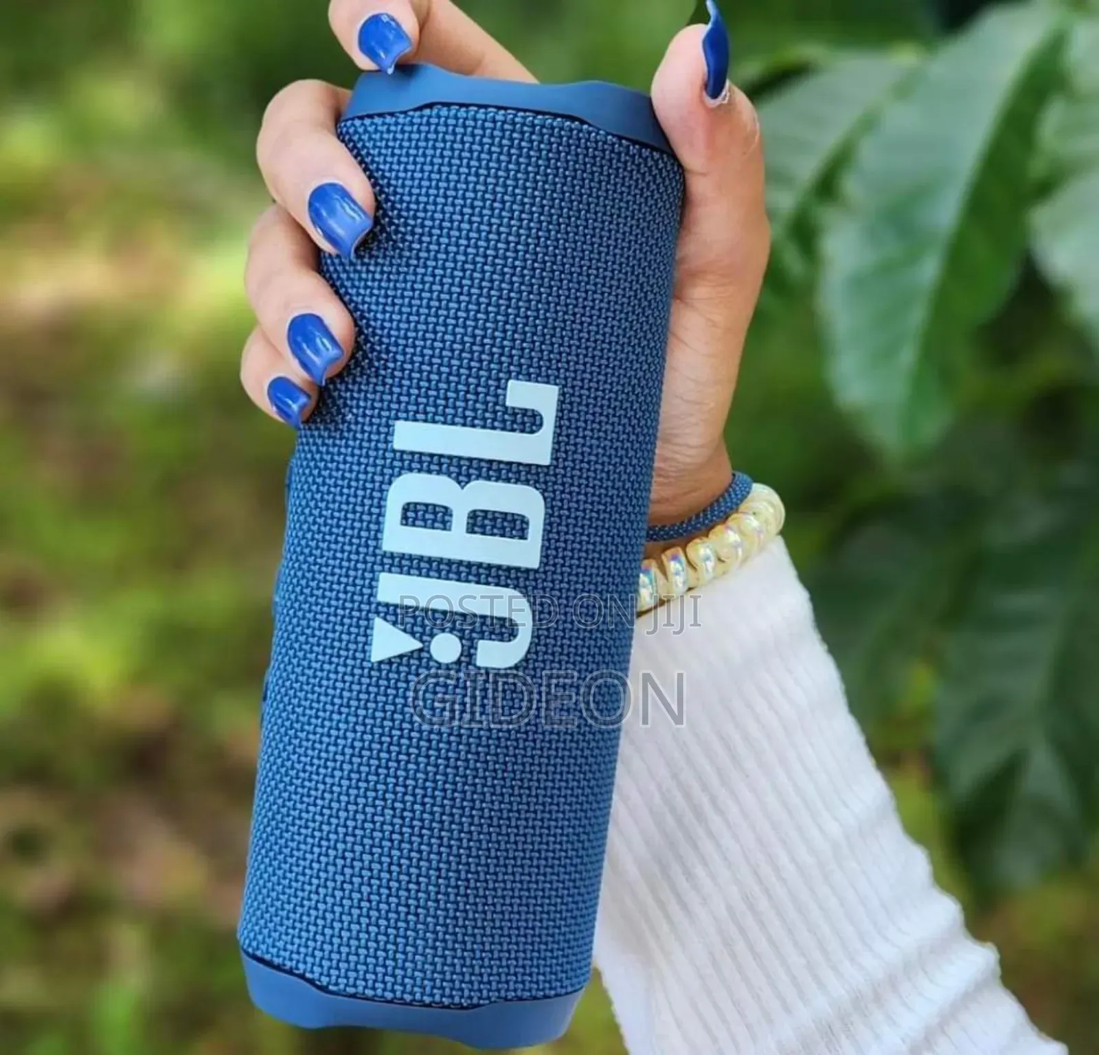 JBL Flip 6