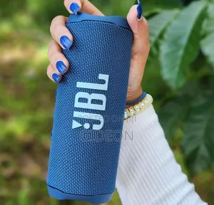 JBL Flip 6
