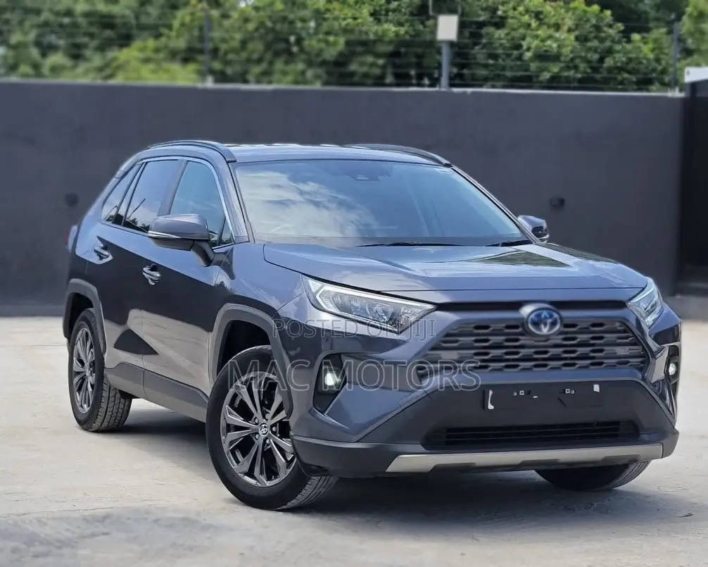 Toyota RAV4 2021 Gray