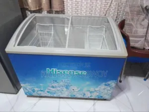 Hisense Display Freezer Lita 250