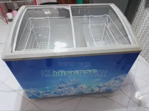 Hisense Display Freezer Lita 250