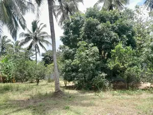 Kiwanja Kizuri Mbezi Makabe