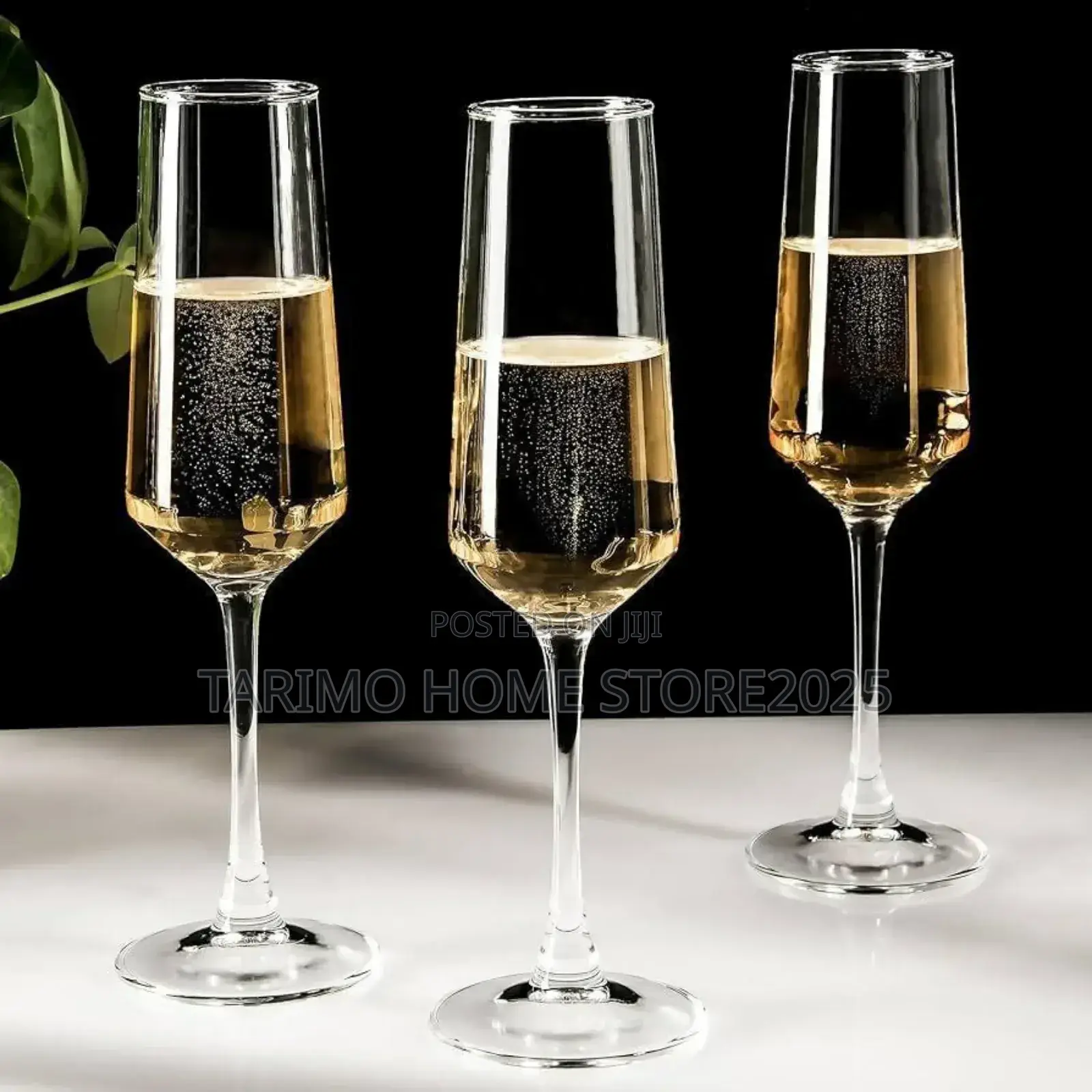 Shampaign Glass Nzitooo PCS 6