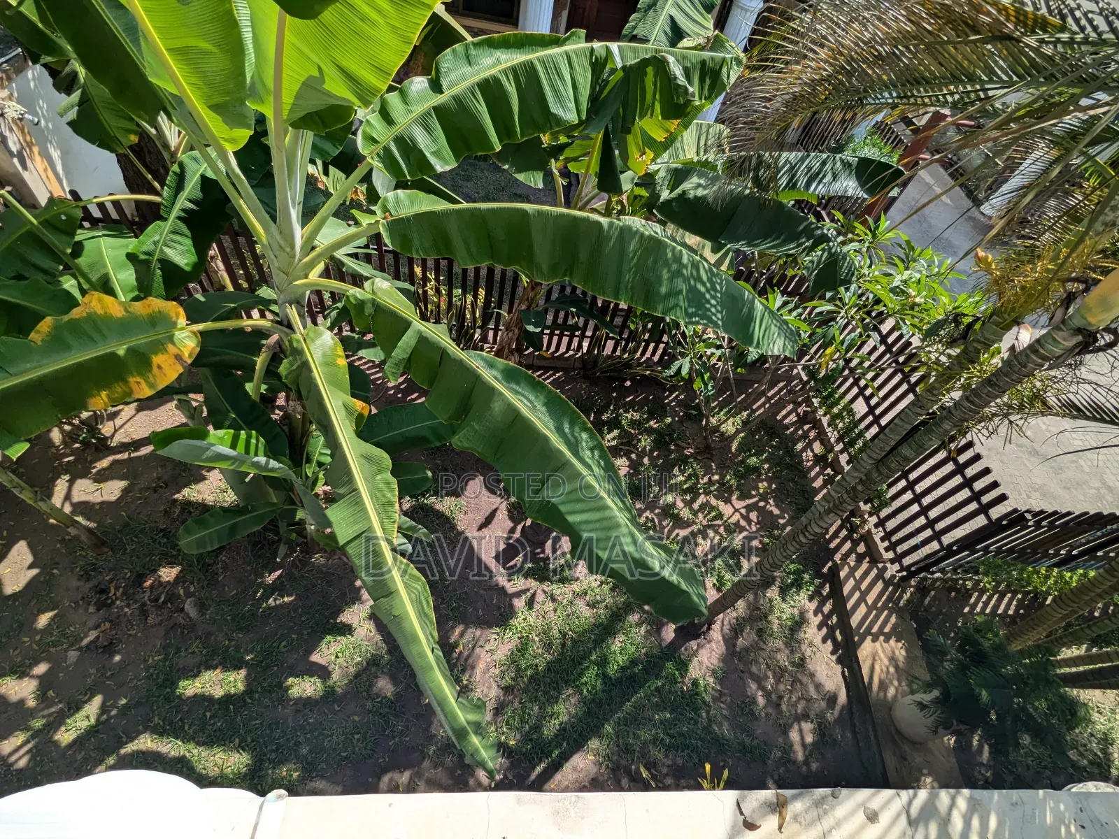 Furnished 4bdrm Villa in Masaki for rent