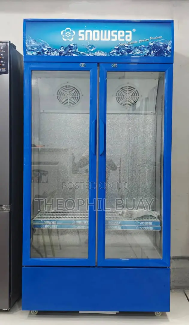 SNOWSEA SHOWCASE by Mr UK Double Door 550L