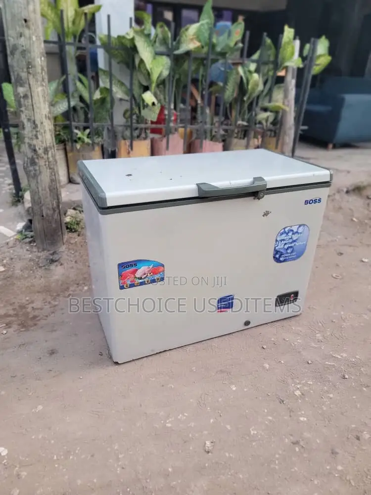 Boss Freezer Lita 300 Bei Bado Ni Jipya Halimjui Fundi