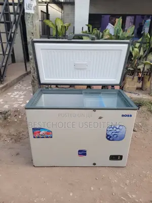 Boss Freezer Lita 300 Bei Bado Ni Jipya Halimjui Fundi