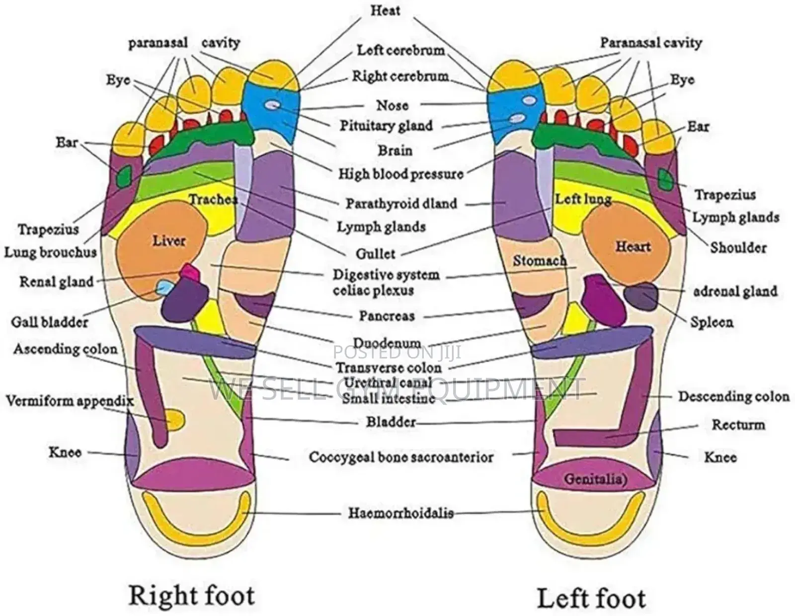 Stone Foot Massage Slippers