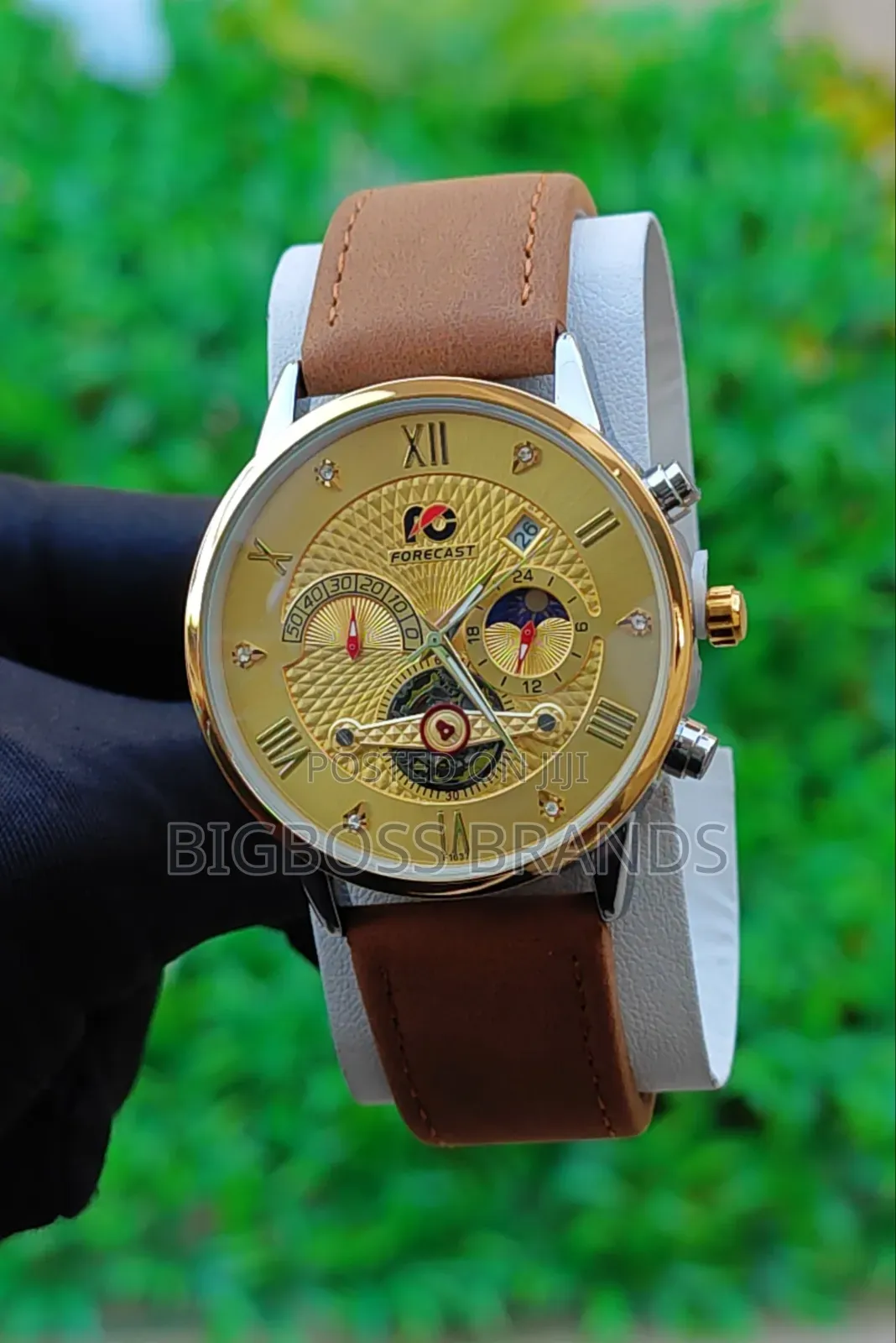 Forecast Mechanical Watch