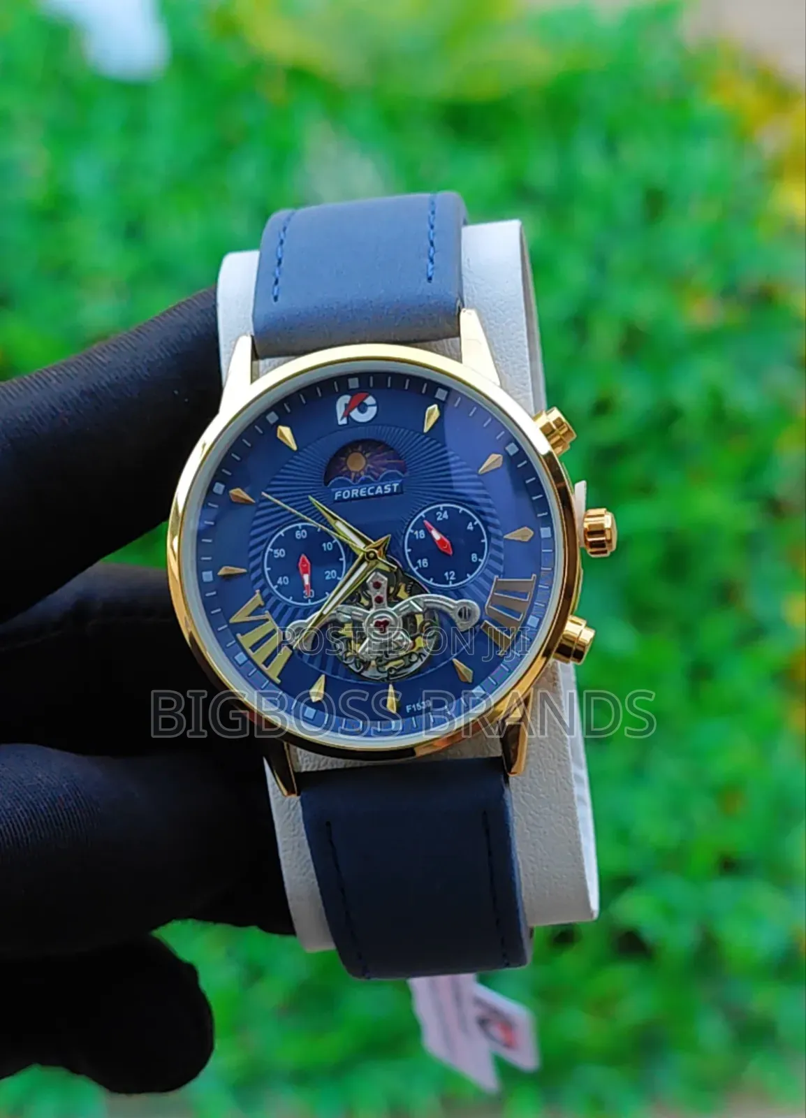 Forecast Mechanical Watch