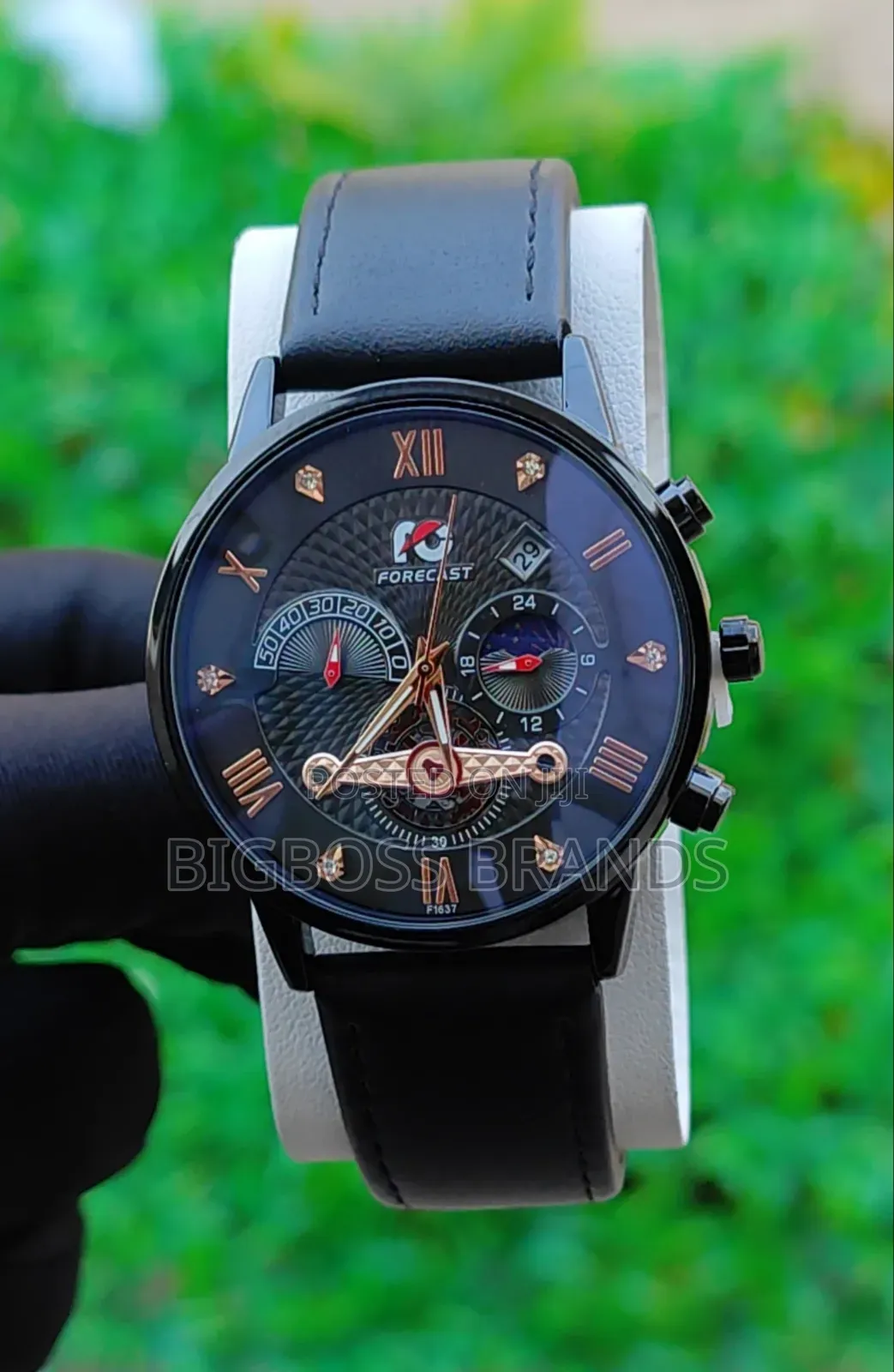 Forecast Mechanical Watch