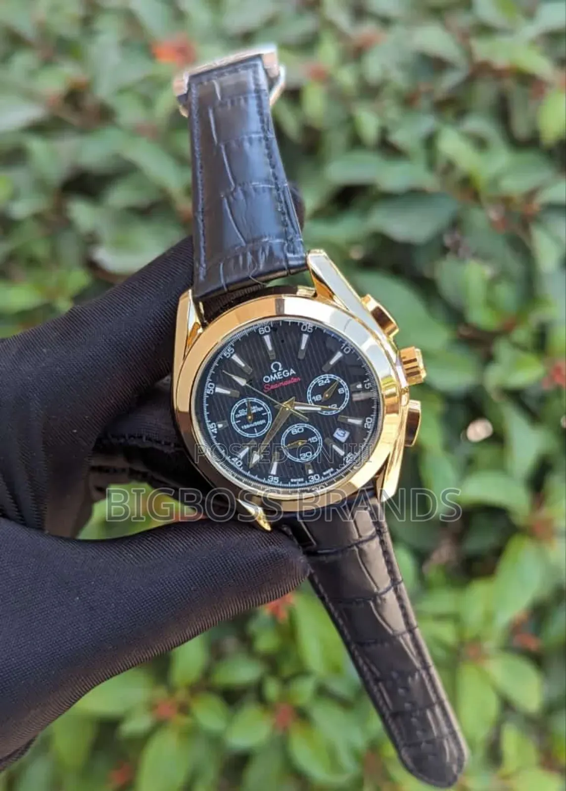 OMEGA Leather Strap