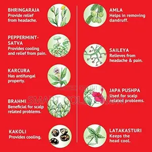 Navrthna Oil for Quick Relief From Headache Body Ache
