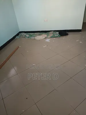 1bdrm Apartment in Kariakoo for rent