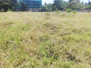 Big Plot Available for Rent at Mbezi Beach