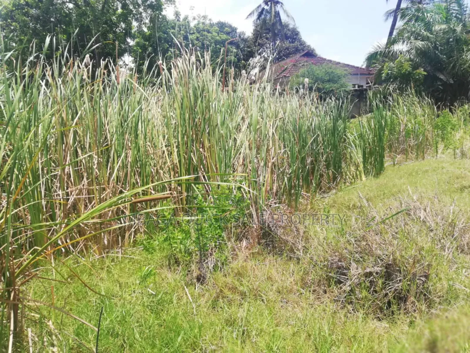 Big Plot Available for Rent at Mbezi Beach